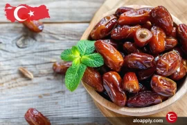 صادرات خرما به ترکیه